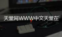 天堂网WWW中文天堂在线